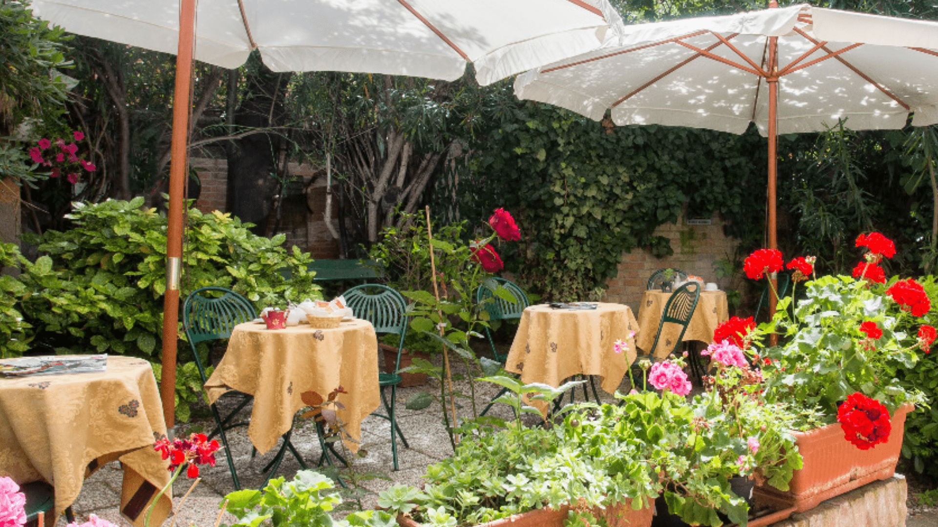 Casa Mimma Showgroup Venezia Casa Mimma Showgroup Venezia