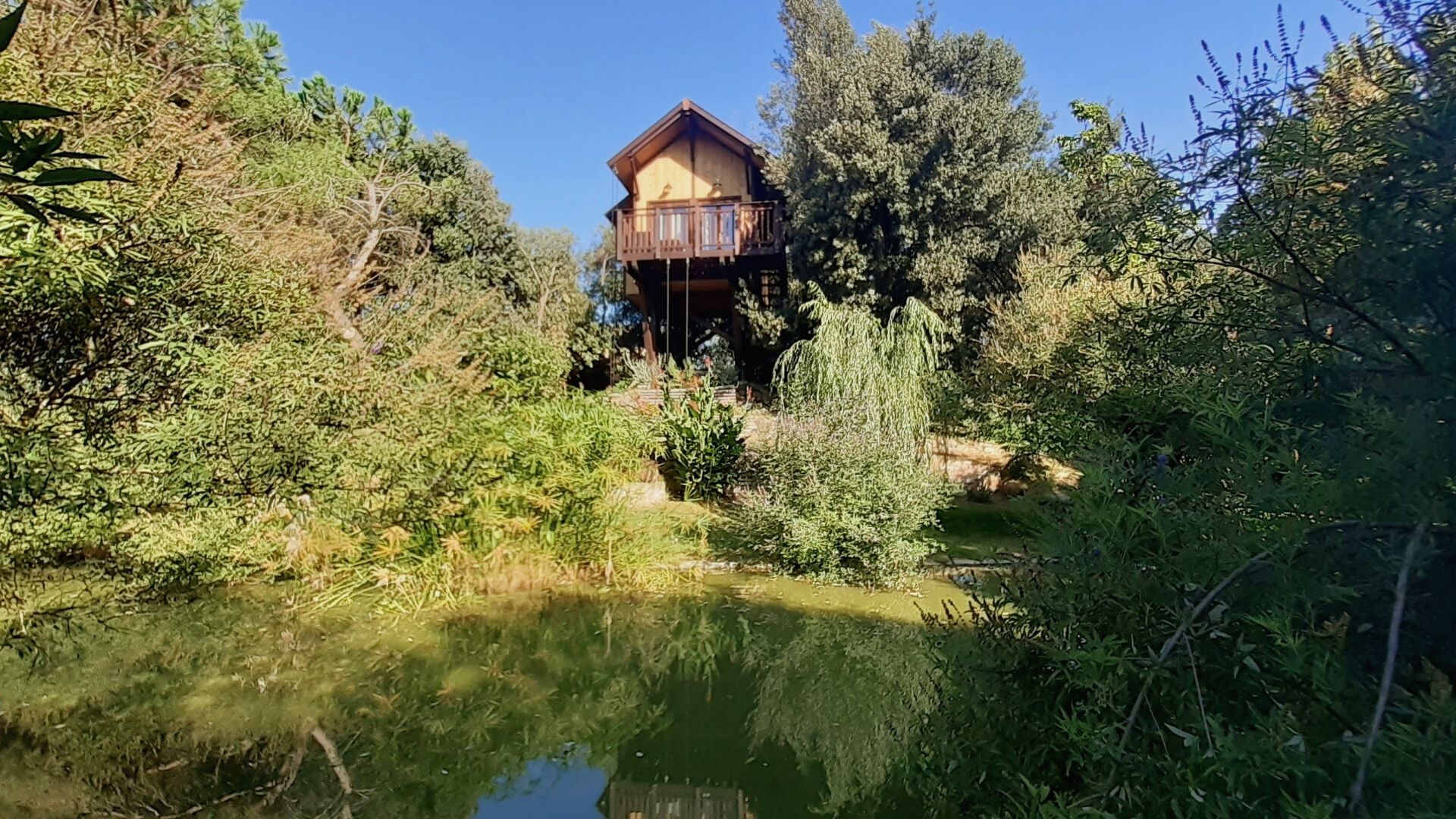 Casa sull'albero Awen