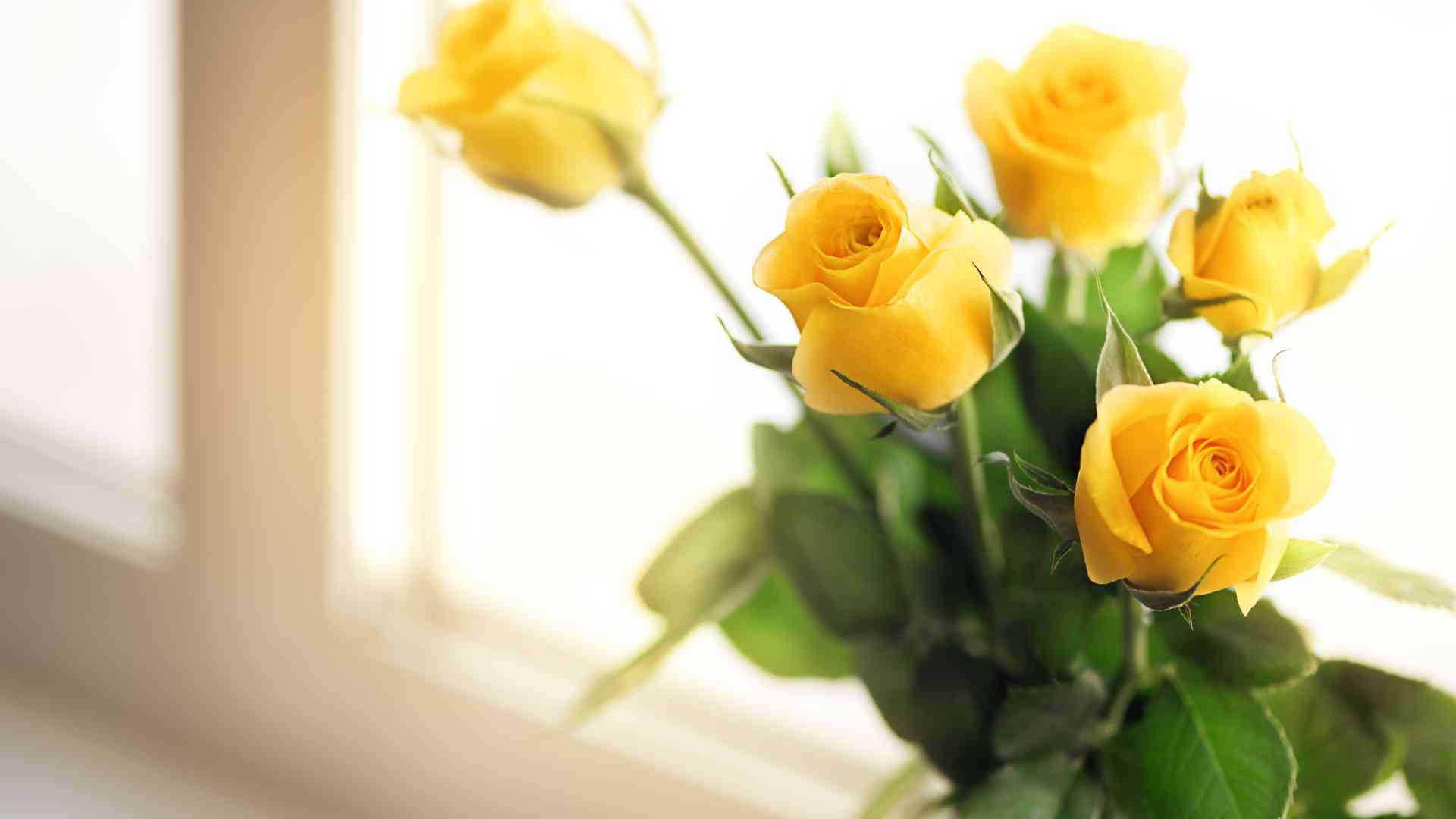 regalo 50 anni matrimonio regalo 50 anni matrimonio