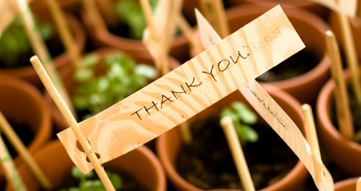 Bomboniere "verdi" per organizzare un battesimo originale Bomboniere "verdi" per organizzare un battesimo originale