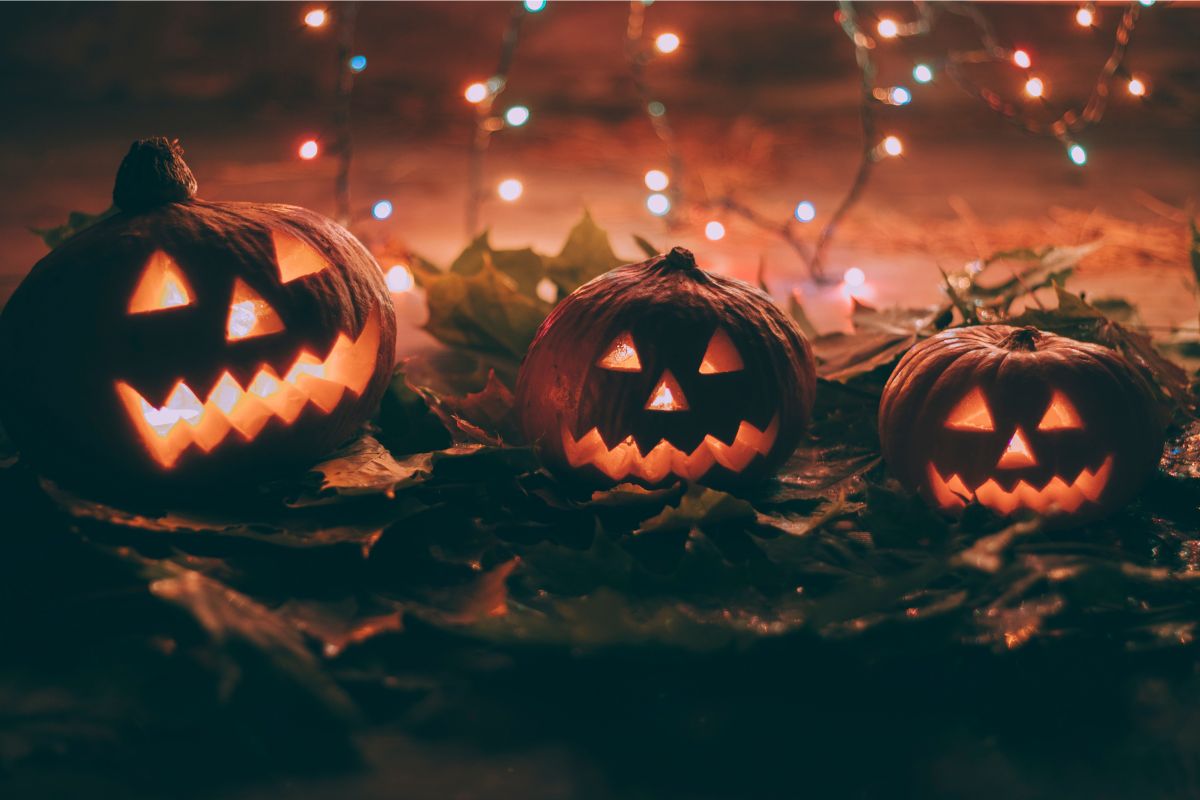 cosa fare a halloween: zucche nel bosco